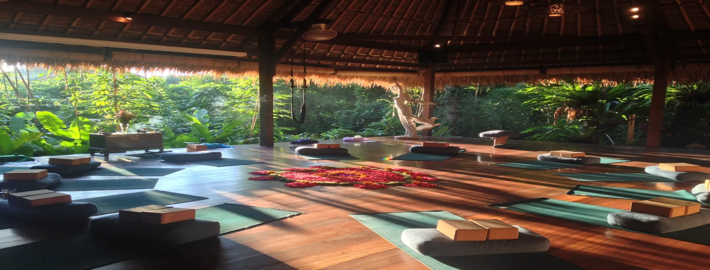 Image for Wellness Retreats